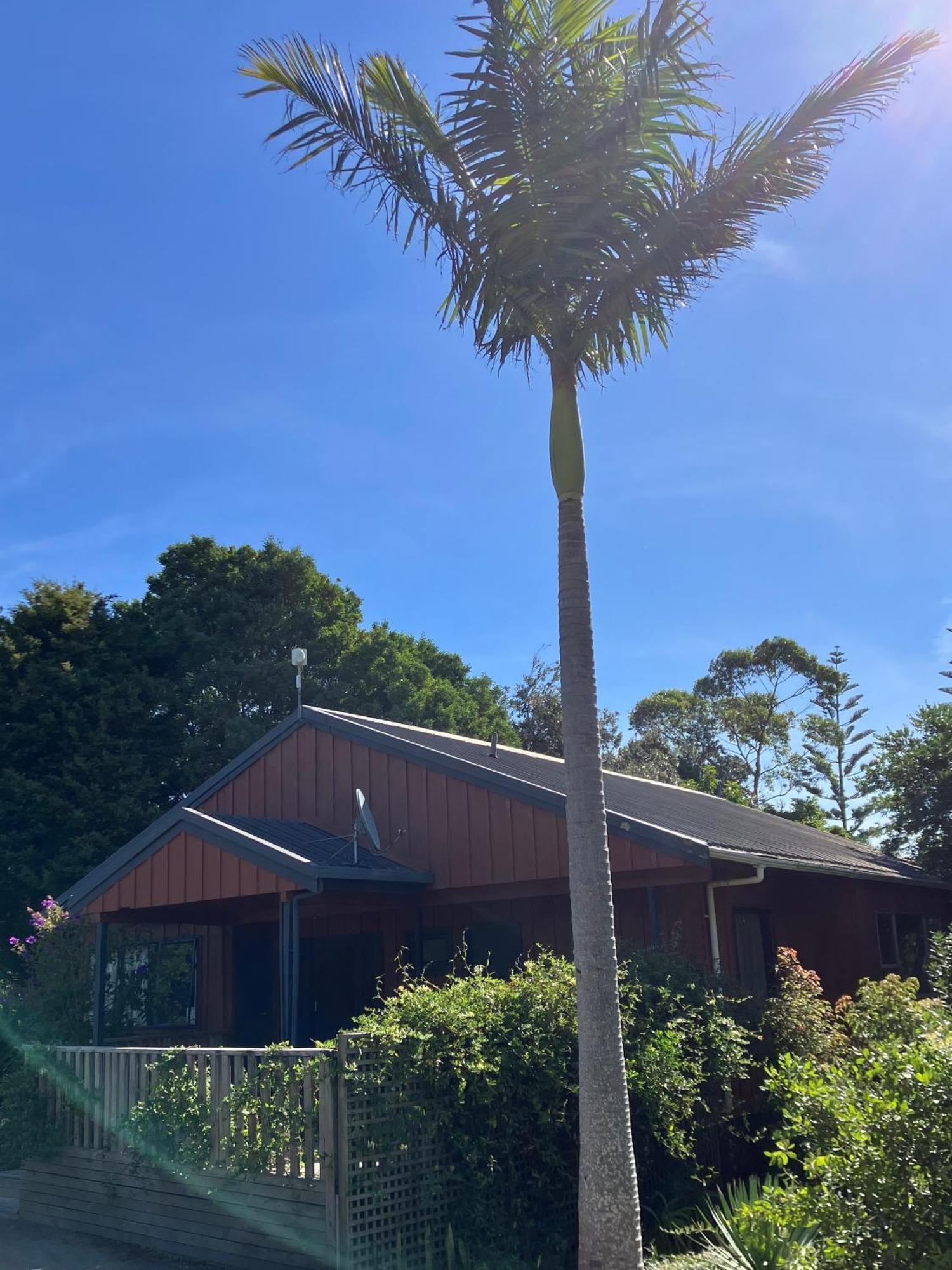 Ahipara Holiday Park Exterior foto